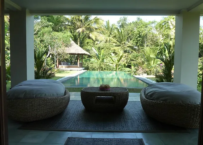 Viola Ubud