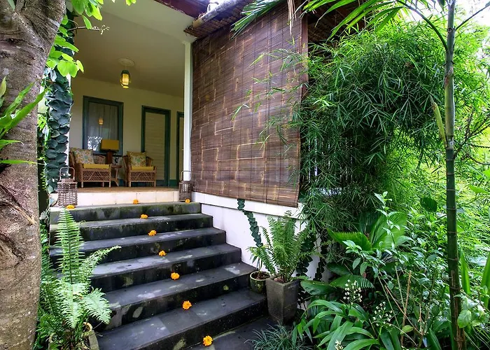 Viola Villa *