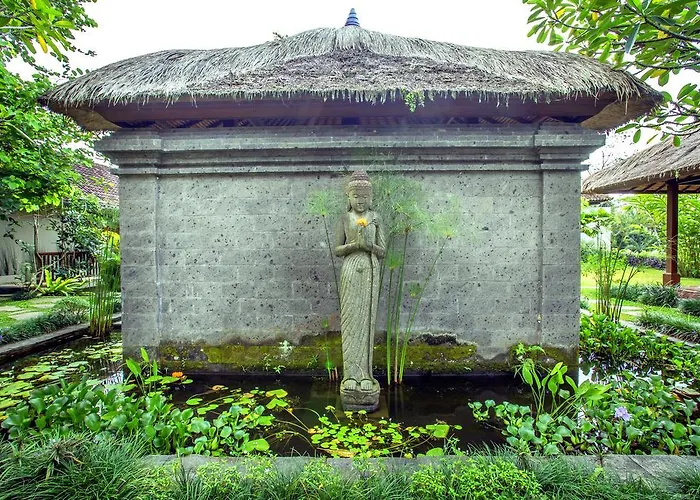 Viola * Ubud (Bali)
