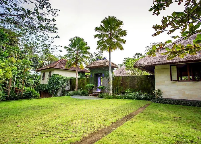 Viola Villa *