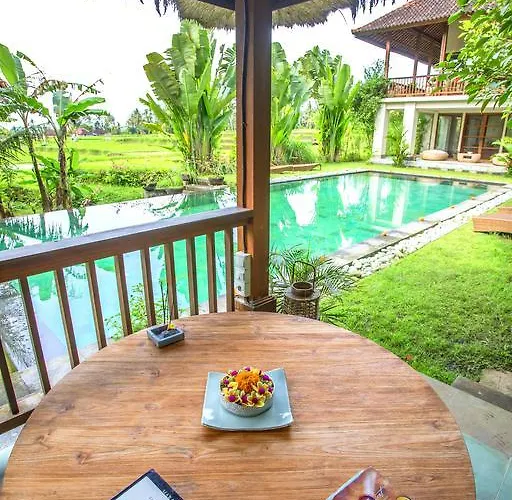 Viola Ubud